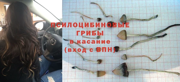 a pvp Алексеевка