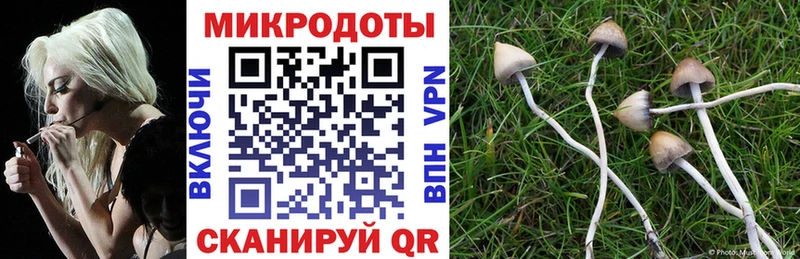 дарк нет формула  Кропоткин  Псилоцибиновые грибы прущие грибы  купить наркоту 