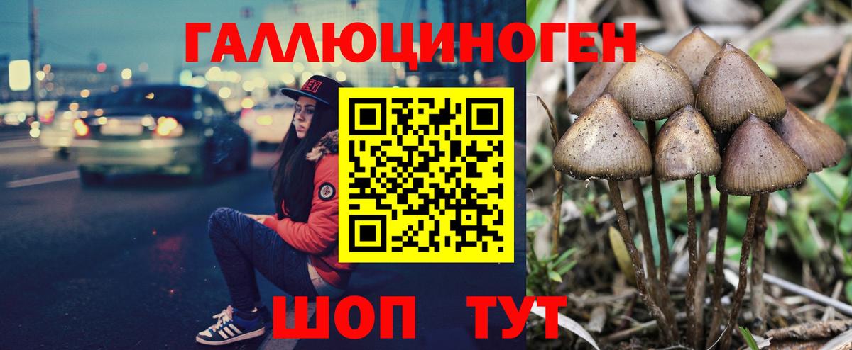 Кропоткин  где купить наркотик  Вход с VPN  Псилоцибиновые грибы мицелий  Галлюциногенные грибы GOLDEN TEACHER 