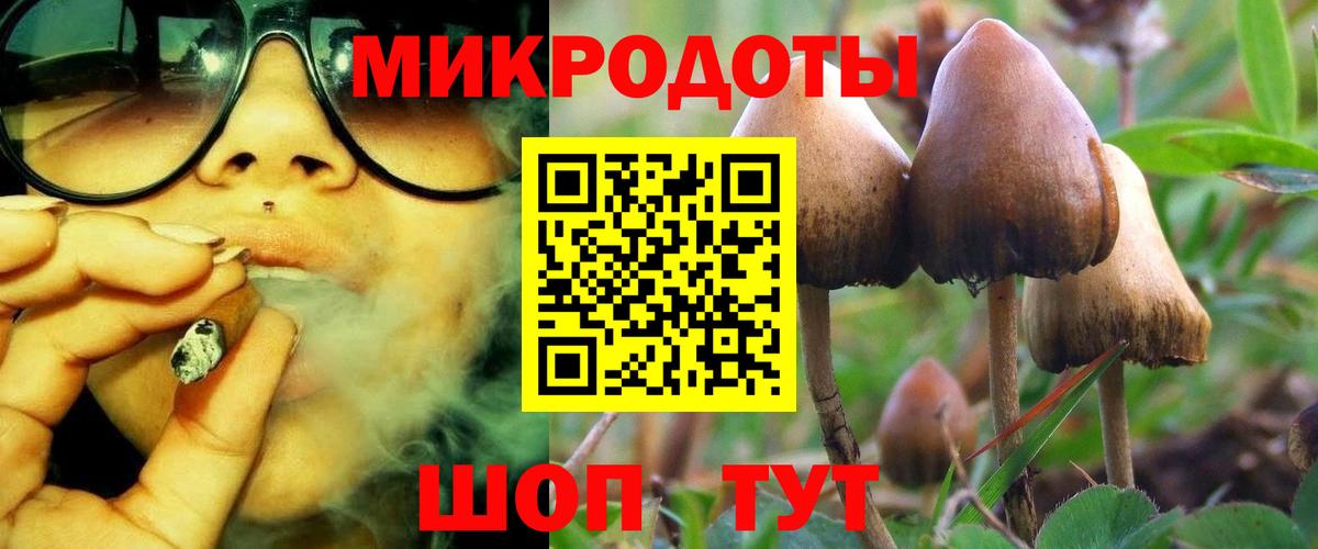 Галлюциногенные грибы GOLDEN TEACHER Кропоткин